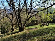 27 In decisa salita tra maestosi castagni 